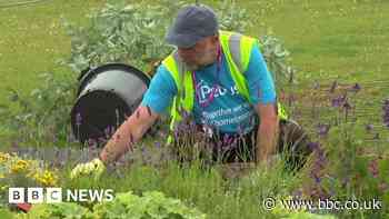 Tatton Park Flower Show: Community groups create joint garden