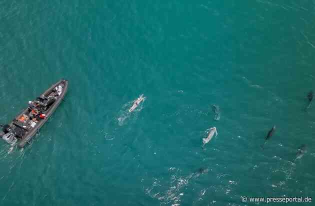 Korrektur: In überragender Zeit einmal rund um die britische Insel Jersey / Erneuter Rekord für Extremschwimmerin Nathalie Pohl