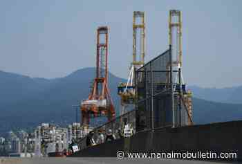 Federal Labour Minister says renewed port workers strike illegal