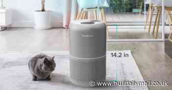 Review: Levoit Core P350 Pet Care True HEPA Air Purifier given the all-clear
