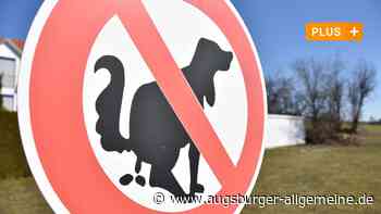 Lebhafte Debatte um Hundekot: Braucht es Beutelspender oder nicht?