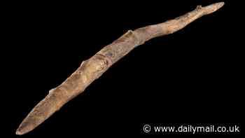 Wood you believe it? Early humans were woodwork experts and fashioned double-pointed weapons 300,000 years ago (but launched them like boomerangs rather than spears!)