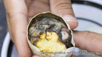 Lecker sieht anders aus: die kuriosesten Gerichte der Welt