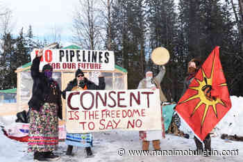 Feds’ response to Wet’suwet’en human rights case ‘embarrassing’: Amnesty International