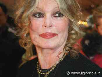 "Malore in casa per il caldo". Paura per Brigitte Bardot: come sta