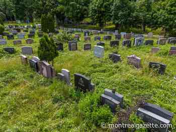 It will take months to clear backlog of unburied bodies at Notre-Dame-des-Neiges Cemetery