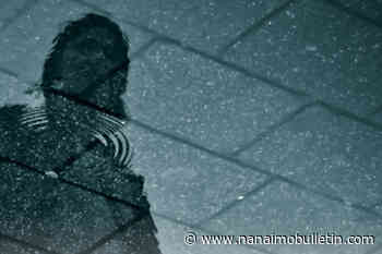 Vancouver Island advocates for the unhoused release ‘What Can I Do’ guide