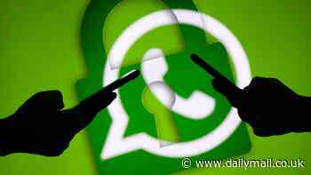 Massive WhatsApp outage left users worldwide unable to communicate with friends and loved ones - but the issue was fixed one hour after hitting the platform