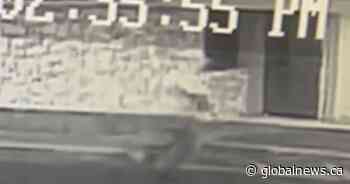 ‘Self-defence’: Charge stayed against man accused in Nanaimo homeless camp shooting