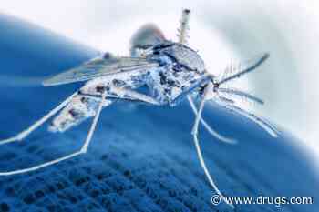 New Malaria Case Reported in Florida Brings National Total to Eight