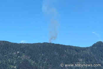 BC Wildfire crews, aircraft responding to fire southwest of Sicamous