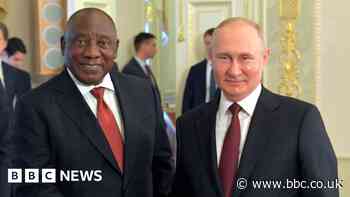 Putin will not attend Brics summit - South African presidency