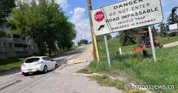 Calgary bus traps still a problem for city drivers