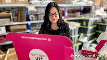 Online retailers 'hit left, right and centre' as shipping costs surge and demand falls