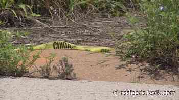 2nd Northwoods officer charged in connection with police brutality investigation