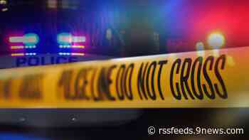 Woman arrested in fatal shooting called husband a 'monster,' told dispatcher he attacked her