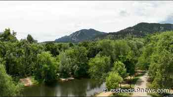 Boulder website shows specific areas that could use new trees, locations with best shade