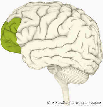 Is Disciplinary Spanking Effective? Here's How It Can Affect the Brain