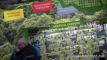 Nielsen-Media-Studie: Nachhaltigkeit dient allen Branchen als Werbeargument