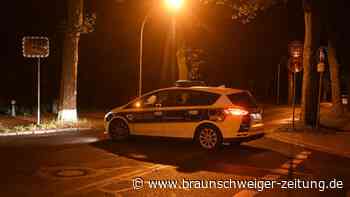 Löwin entlaufen – Polizei setzt Hubschrauber zur Suche ein