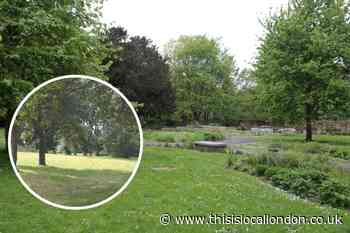 Two Lewisham green spaces newly receive Green Flag Awards