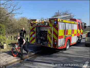 Motorbike fire in Hull Road Park in Tang Hall, York