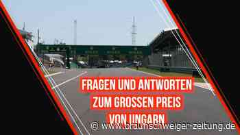 Formel 1 in Ungarn: Die wichtigsten Infos