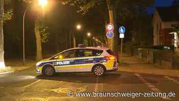 Löwin macht Berliner Süden unsicher