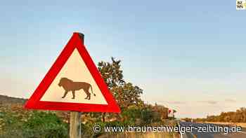 Das sind Deutschlands berühmteste „Problemtiere“