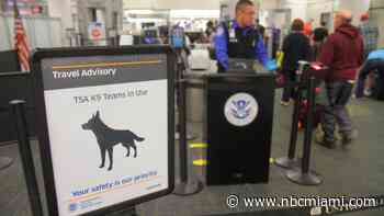 Miami-Dade Police airport K-9 taken to animal hospital after suffering heat stroke