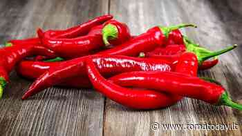 Peperoncino in festa a Fiumicino. E c'è anche il contest "mangiatori di pasta al peperoncino"