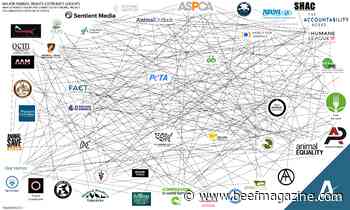 Animal rights groups bring in more than $800M in income annually