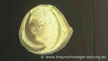 Gestohlener keltischer Goldschatz von Manching wohl teils eingeschmolzen