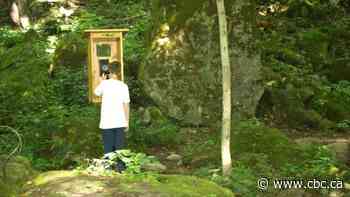 'Wind phone' nestled in Niagara forest helps grieving people speak to those they lost