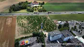 Maislabyrinth in Seligweiler startet mit Jubiläumsmuster und neuen Angeboten