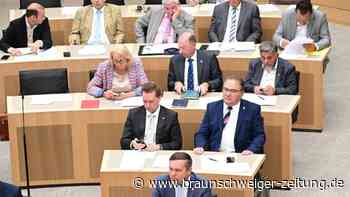 Deutliches Umfrage-Plus: AfD weiterhin im Höhenflug