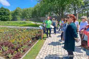 „Titelgewinn“ für Höxters Landesgartenschau