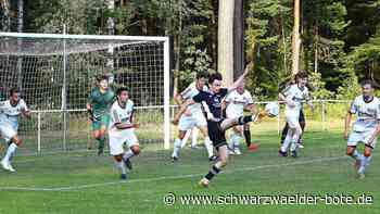 Vor Pokalkracher gegen TSG Balingen: SF Gechingen: Taktik-Versuch schlägt fehl