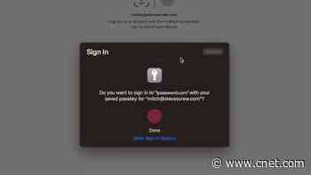 1Password Tests Passkey Login to Unlock Your Password Vault     - CNET