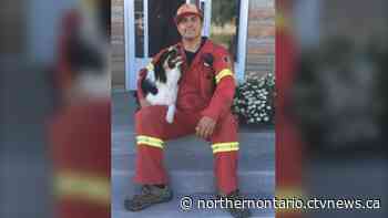 Alberta driver, trucking company charged in fatal Highway 17 crash