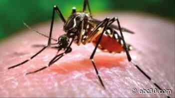Human case of West Nile Virus confirmed in Tulare County