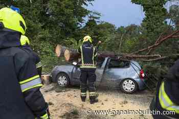 Croatian firefighter 6th person to die after storm sweeps the Balkans