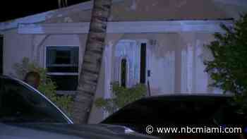 Multiple dogs killed in West Park house fire while residents were not home