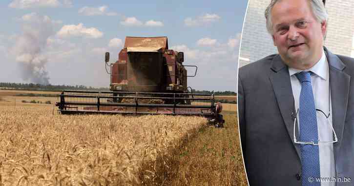 Nu Rusland uit graandeal stapt, stijgt prijs met 11 procent. “Winkelkar duurder vanaf 2024”, zegt voedseleconoom