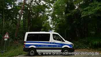 Weiter Suche nach Löwin in Kleinmachnow bei Berlin