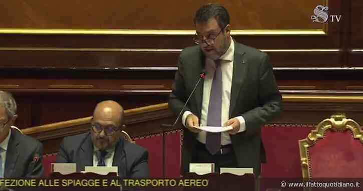 Salvini: “Revoca o sospensione della patente per chi abbandona animali domestici in strada”