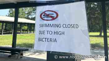 Swimming area at Silver Sands closed Thursday, Rocky Neck reopens