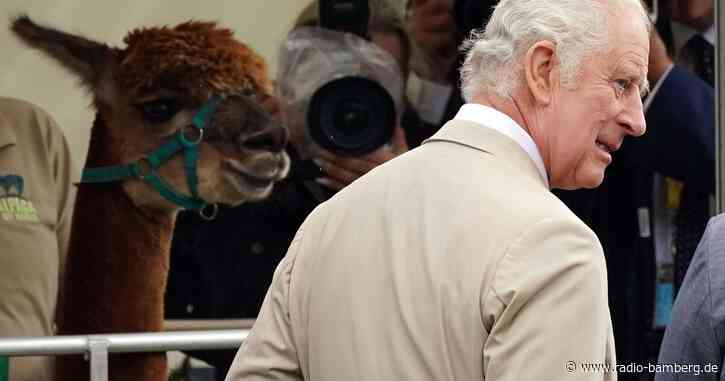 König Charles darf sich auf Geldsegen freuen