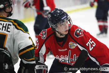 BCHLer turned British hockey star dead after car crash on Vancouver Island