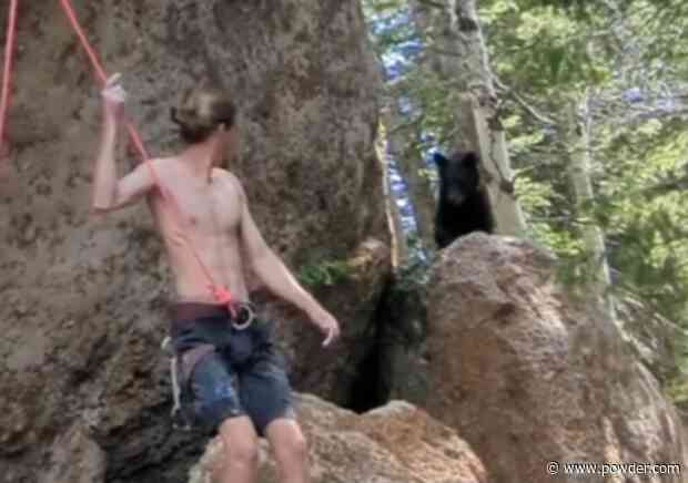 Bear Crashes Rock Climbers' Session While They're Recording